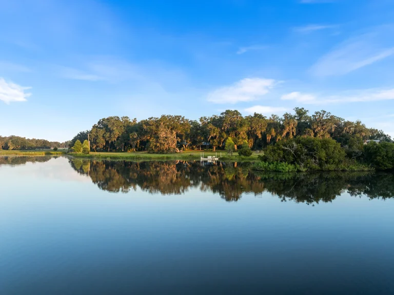 Calm lake reflecting a tree-lined shore